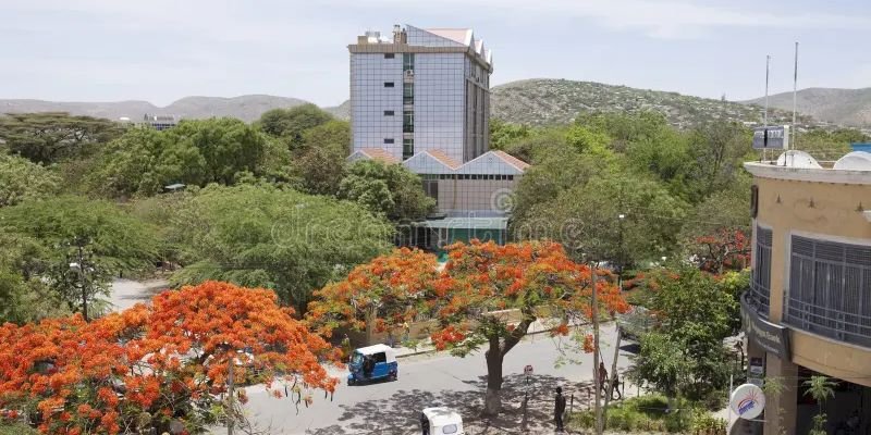 Ethiopian Airlines Dire Dawa Office in Ethiopia